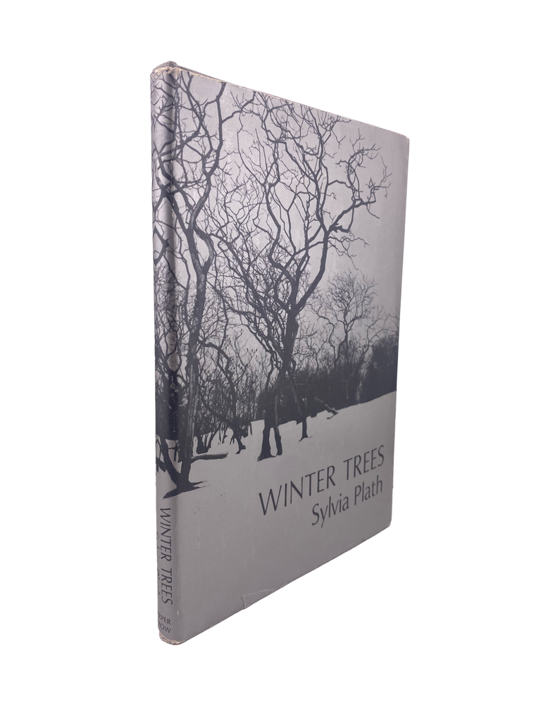 winter trees
