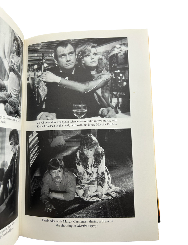 fassbinder: the life and work of a provocative genius