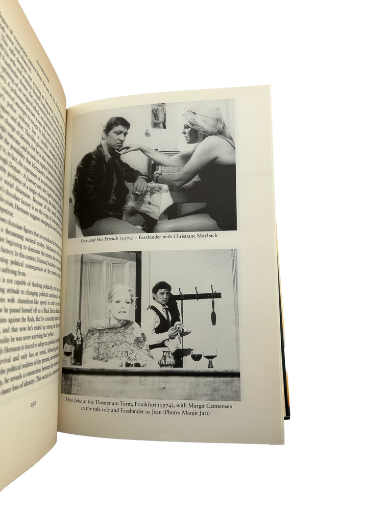 fassbinder: the life and work of a provocative genius