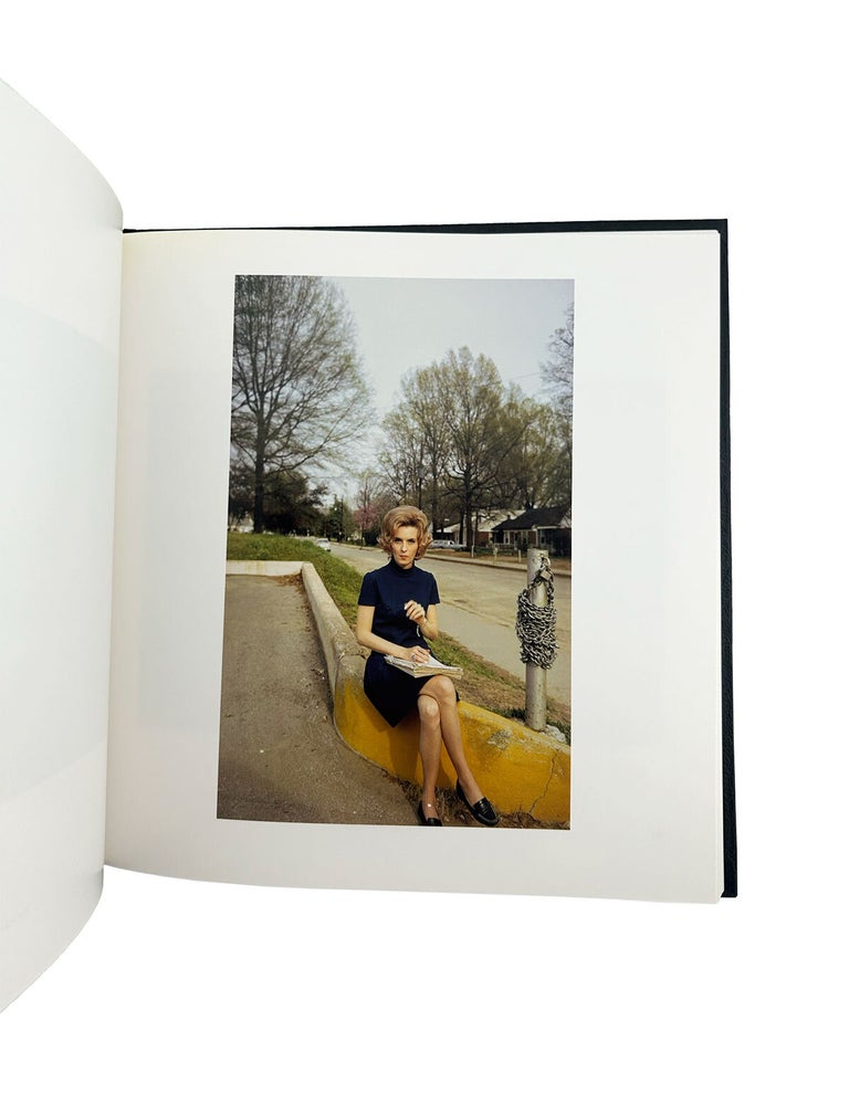william eggleston's guide