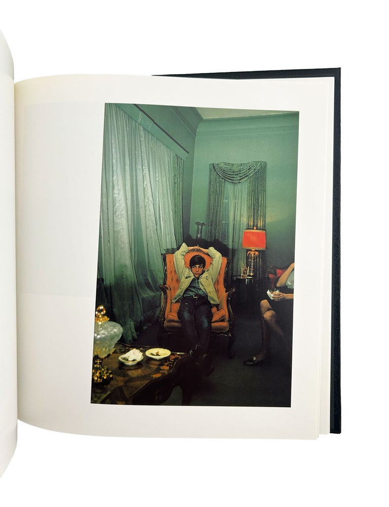william eggleston's guide