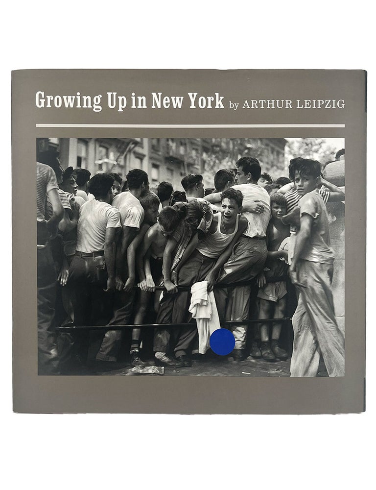 growing up in new york