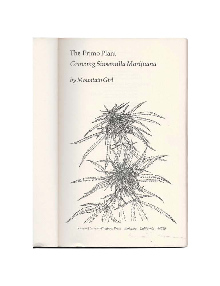 the primo plant: growing sinsemilla marijuana