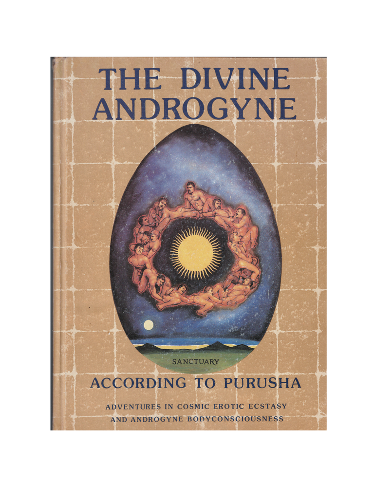Item #1278 the divine androgyne according to purusha: adventures in cosmic erotic ecstasy and...