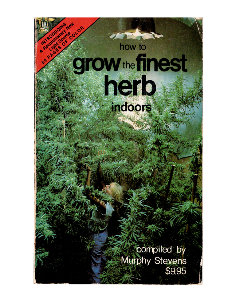 Item #1495 how to grow the finest herb indoors. murphy stevens