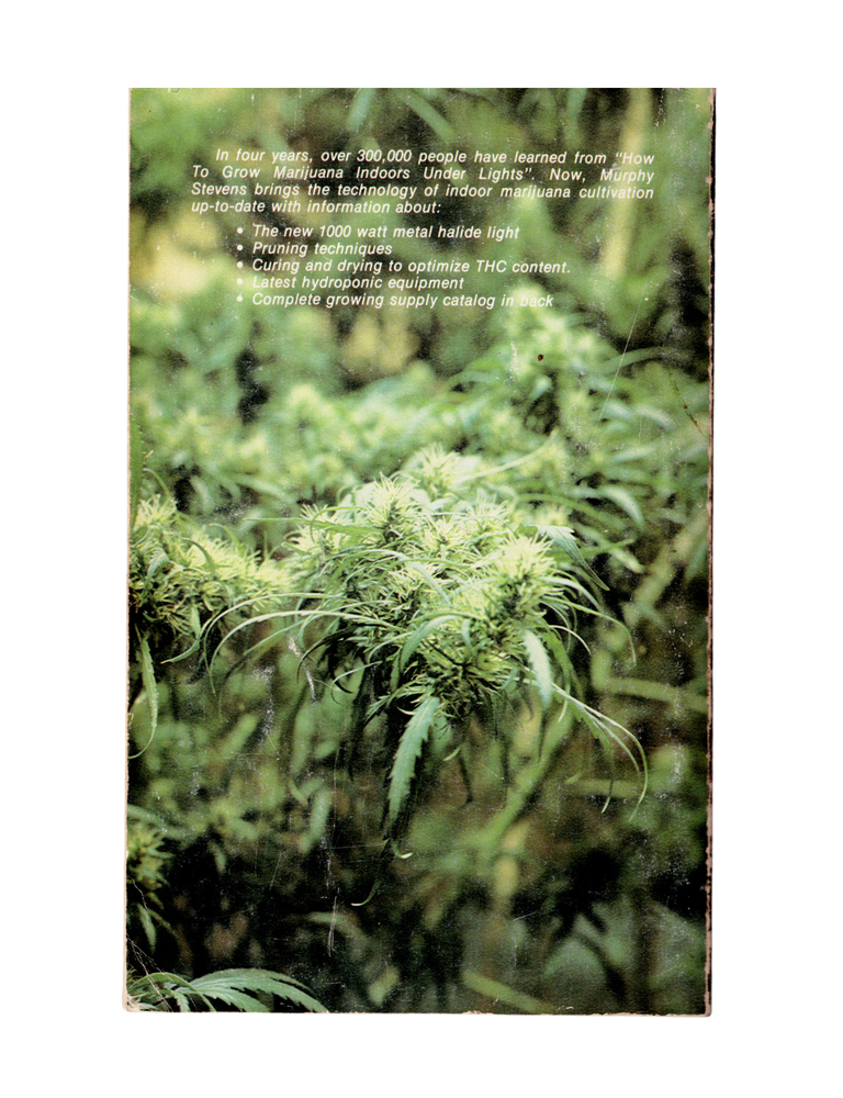 how to grow the finest herb indoors