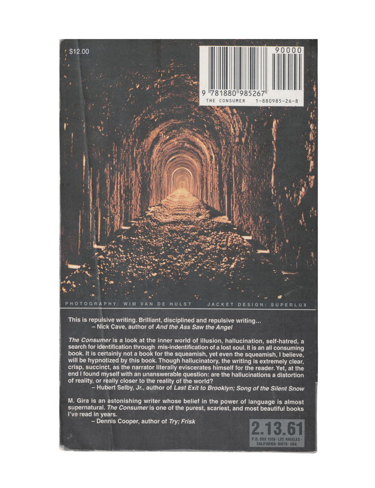 the consumer and other stories