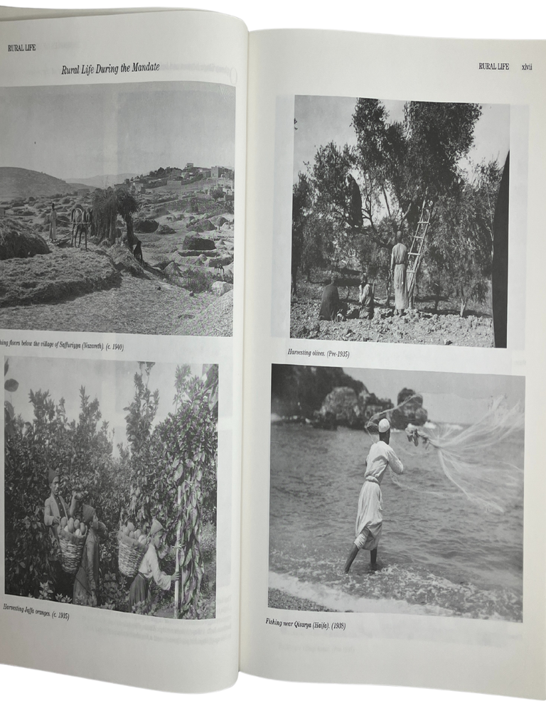 all that remains: the palestinian villages occupied and depopulated by israel in 1948