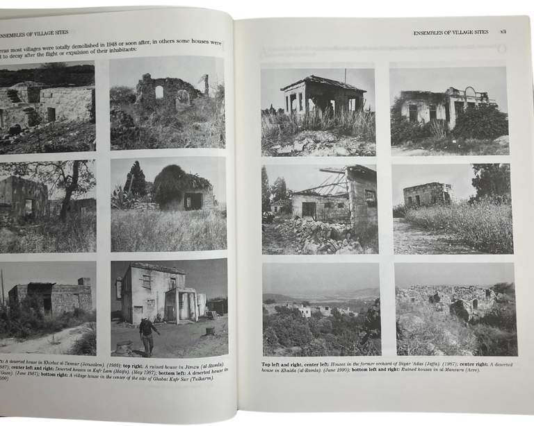 all that remains: the palestinian villages occupied and depopulated by israel in 1948