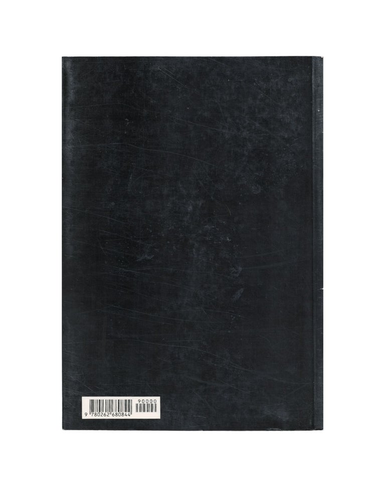 the daily practice of painting: writings 1962–1993