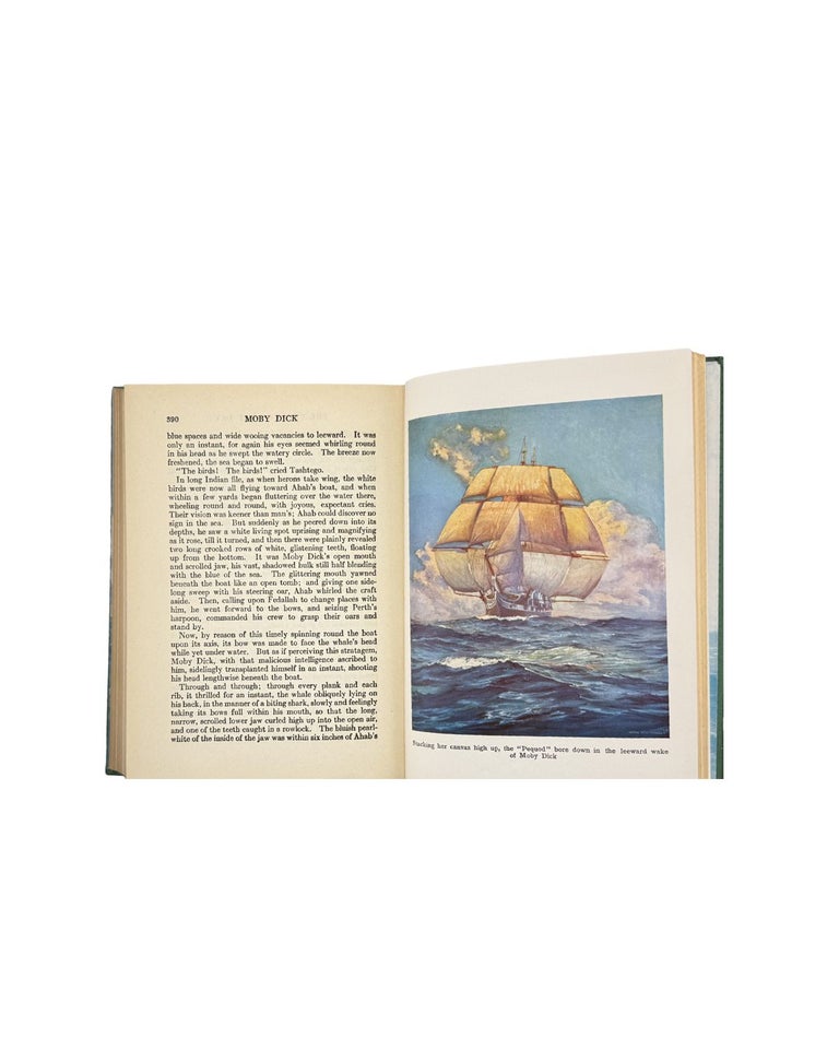 moby dick: the white whale