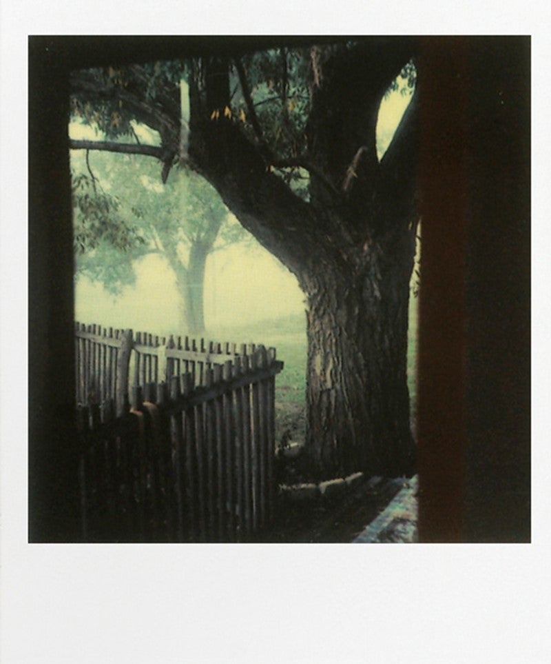 instant light | Andrei Tarkovsky