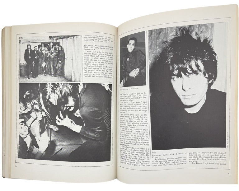 1988: the new wave punk rock explosion