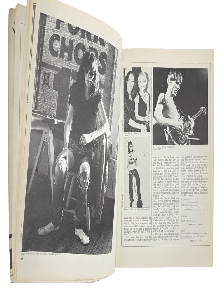 1988: the new wave punk rock explosion