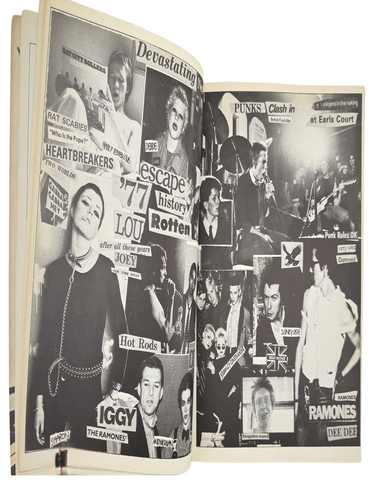1988: the new wave punk rock explosion
