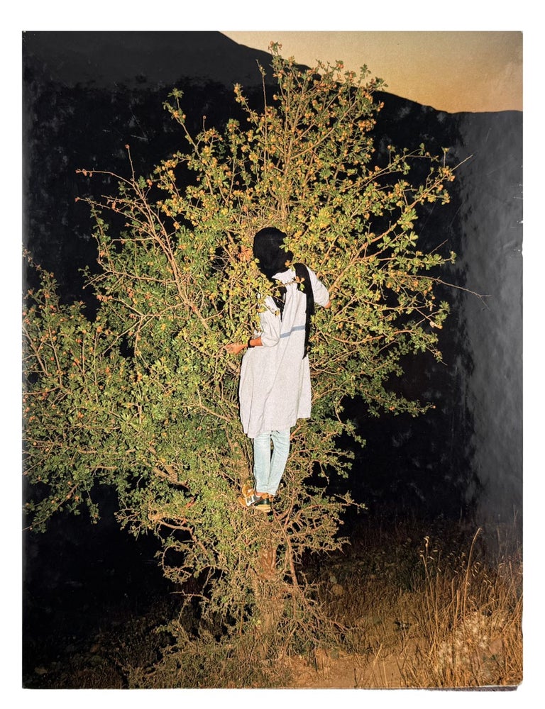 Item #2184 tabriz to shiraz. sarah pannell