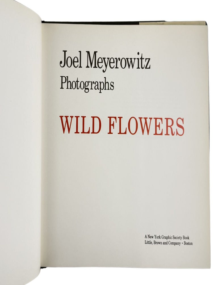 wild flowers