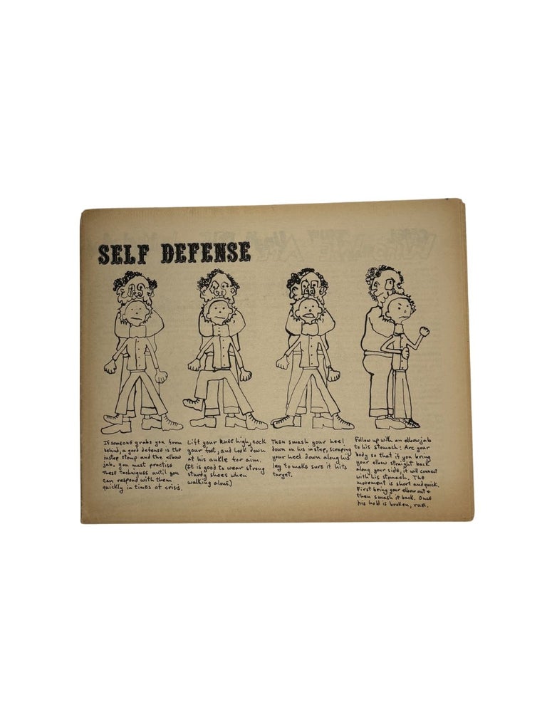 ain't i a woman?: a midwest newspaper of women's liberation