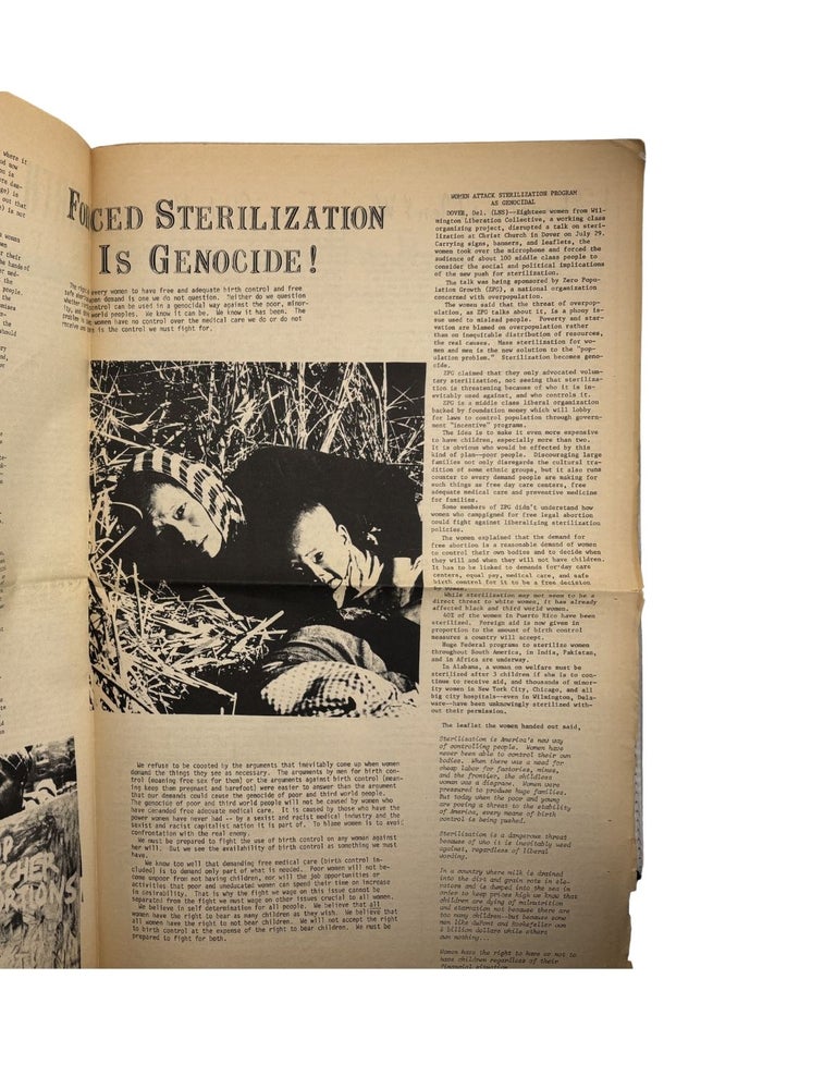 ain't i a woman?: a midwest newspaper of women's liberation