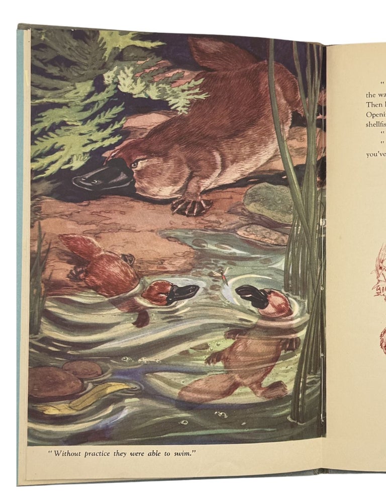 the story of shy the platypus