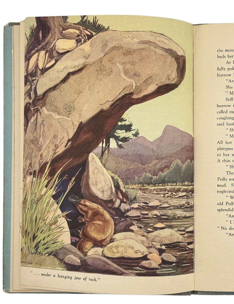 the story of shy the platypus