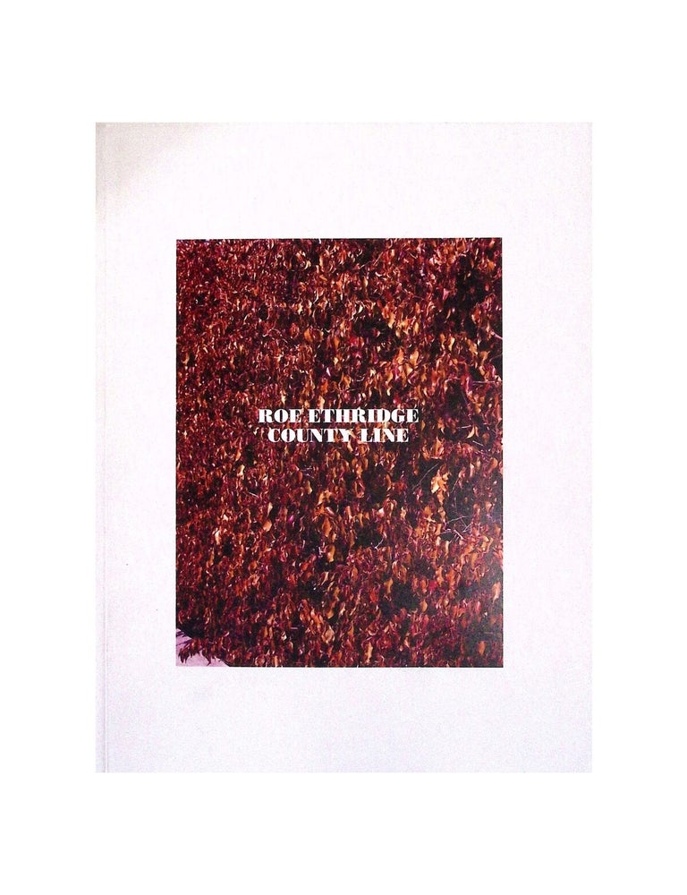 Item #2375 roe ethridge: county line. roe ethridge