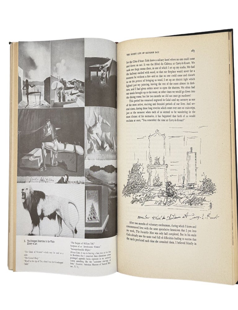 the secret life of salvador dali