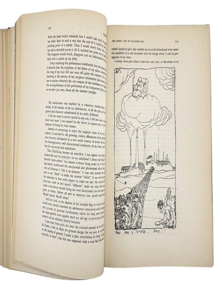the secret life of salvador dali