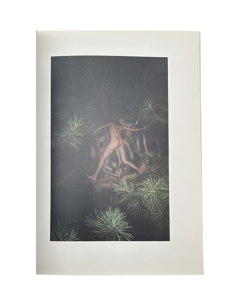 ryan mcginley