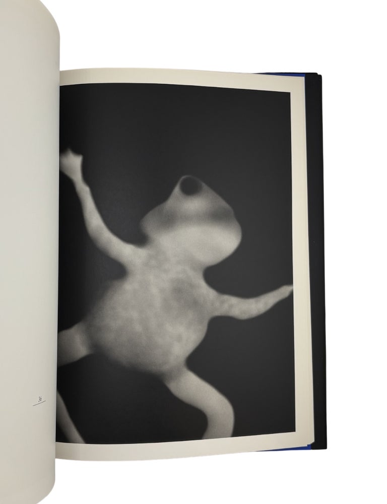 robert stivers: photographs