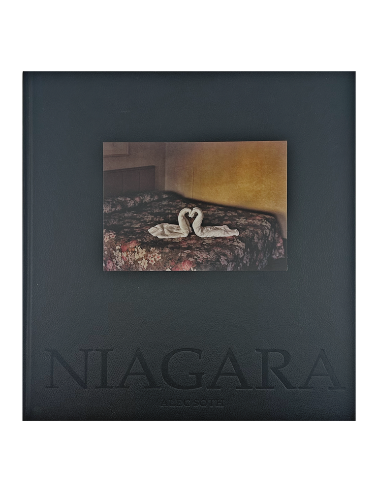 Item #2541 niagara: alec soth