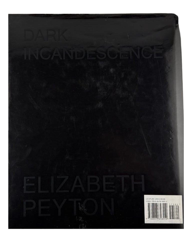 elizabeth peyton: dark incandescence