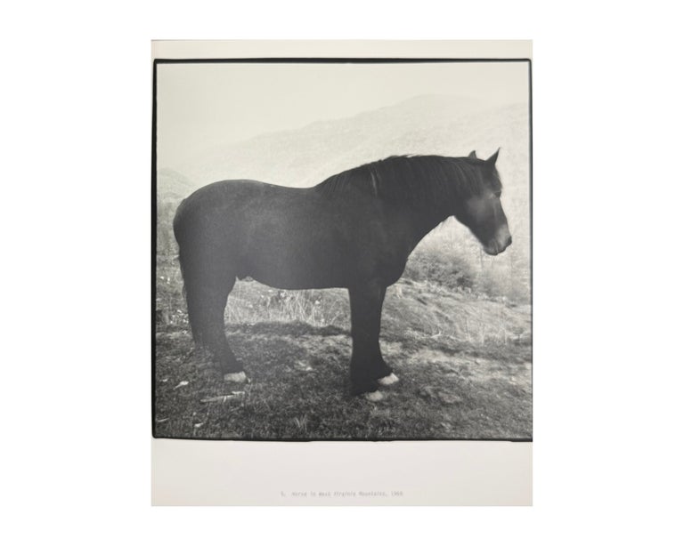 peter hujar: speed of life