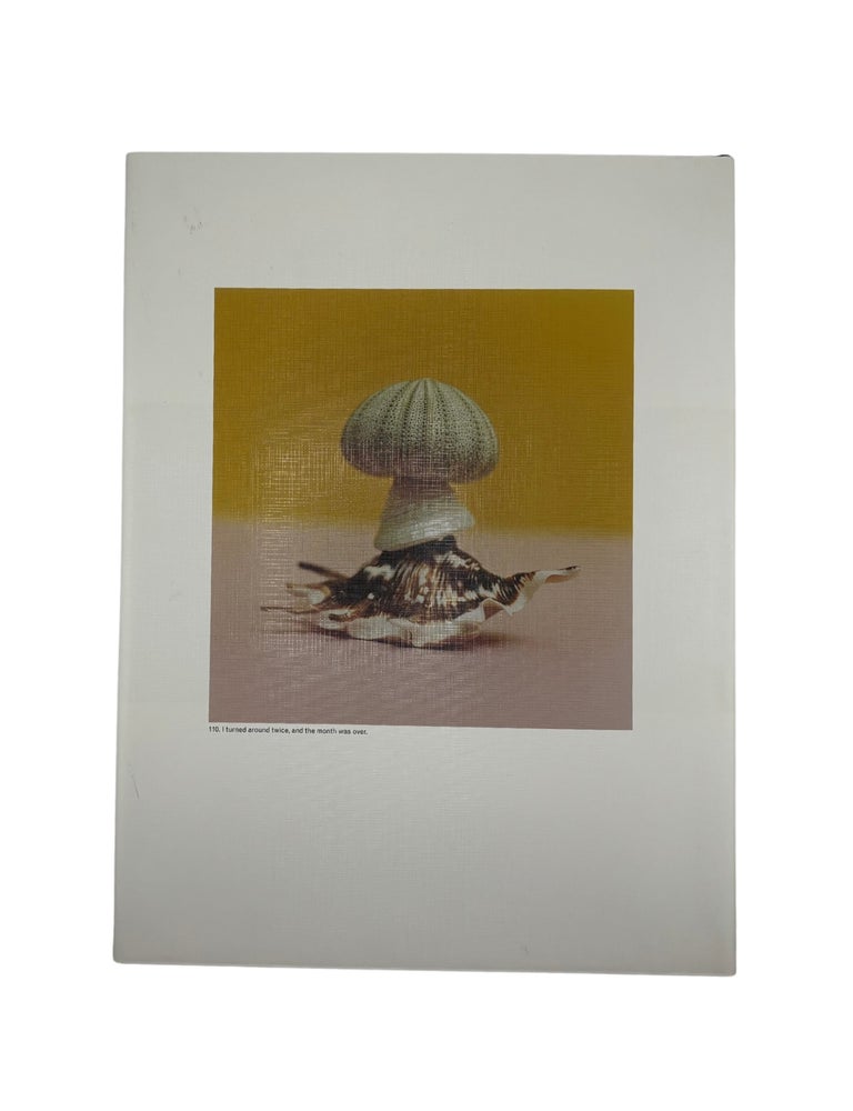 jason fulford: the mushroom collector