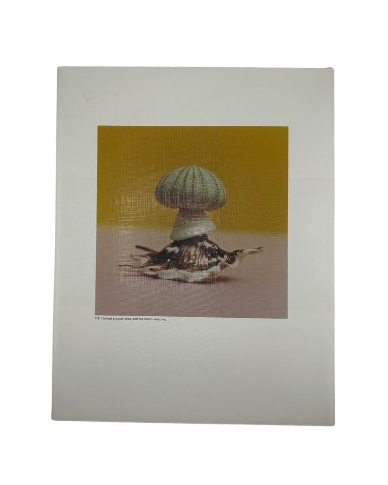 jason fulford: the mushroom collector