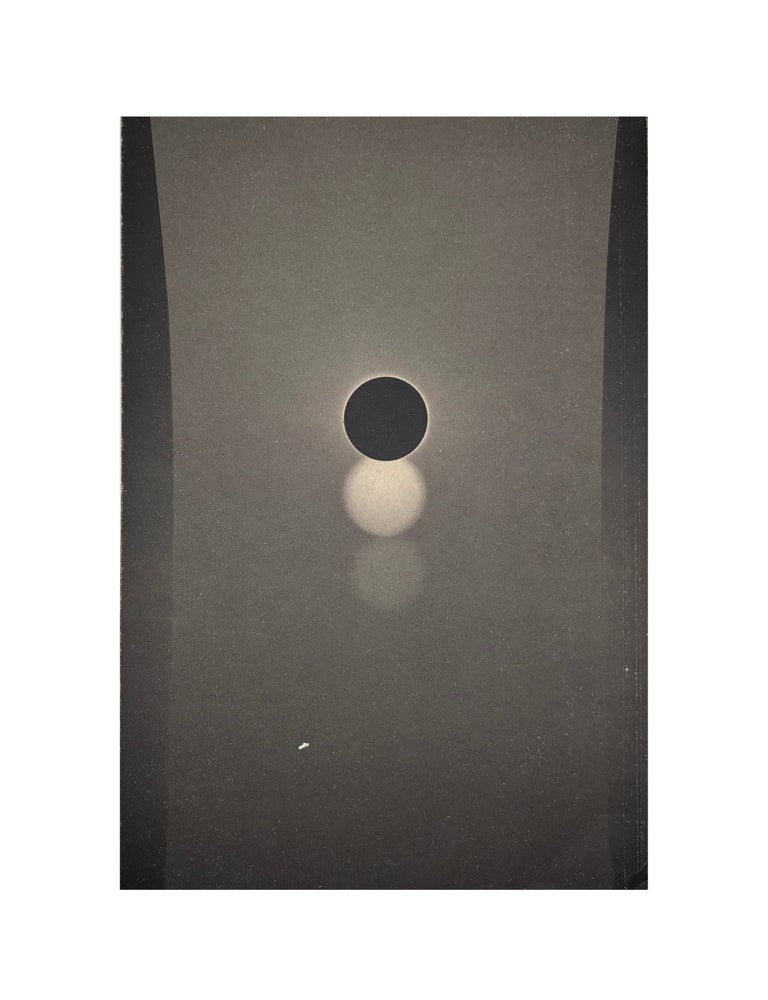 m&aring;rten lange: ghost witness