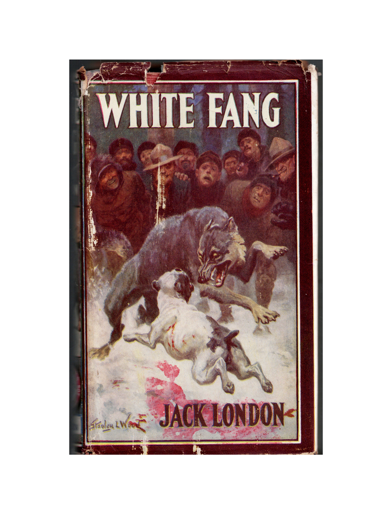 white fang