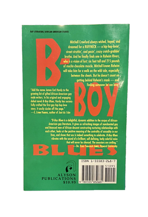 b-boy blues:a seriously sexy, fiercely funny, black-on-black love story