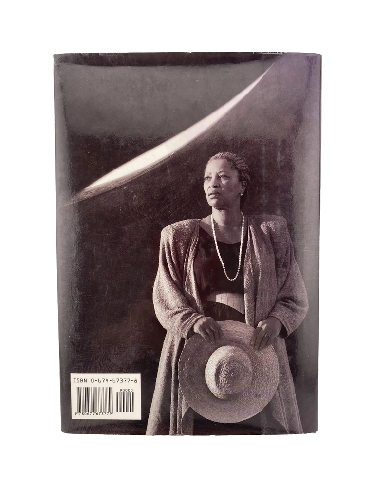playing in the dark: whiteness and the literary imagination